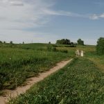 The transformative power of a culinary journey through a new country