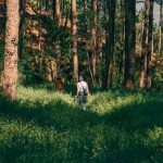 Navigating the world with a sense of wonder and curiosity