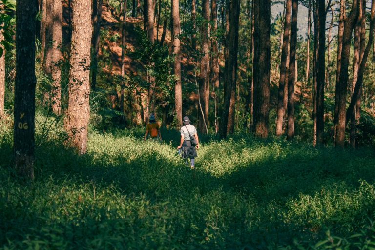 Navigating the world with a sense of wonder and curiosity