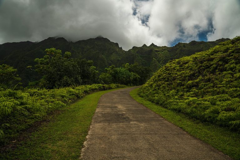 The case for off-roading: exploring the world's untamed landscapes