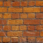 The Secret to Building a Strong and Healthy Home