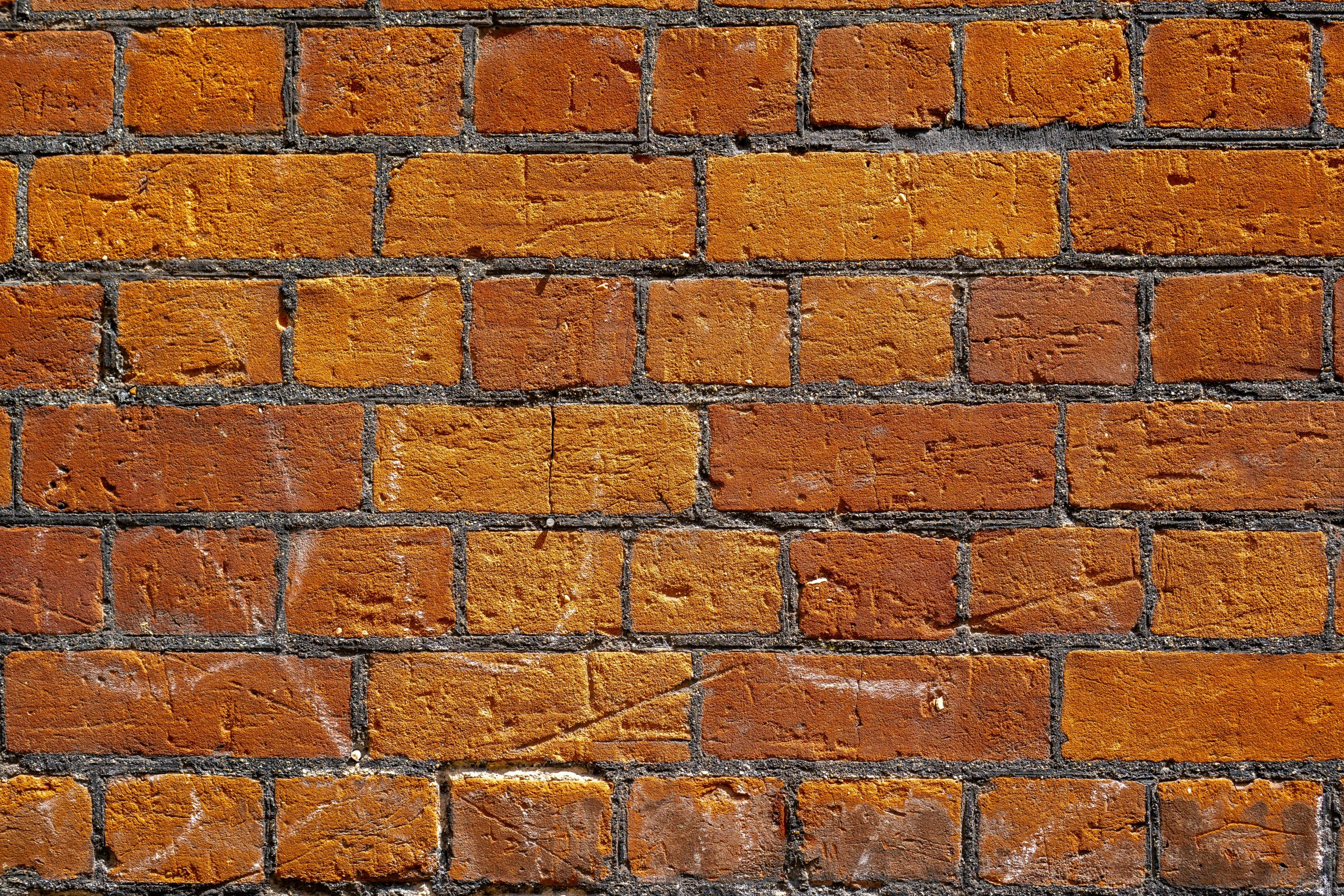 The Secret to Building a Strong and Healthy Home