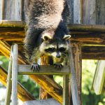 Exploring the world on a shoestring budget: tips and tricks