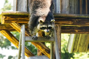 Exploring the world on a shoestring budget: tips and tricks