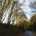 The quiet magic of train travel: a journey through scenic landscapes