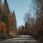 From bustling markets to quiet temples: a journey through Asia