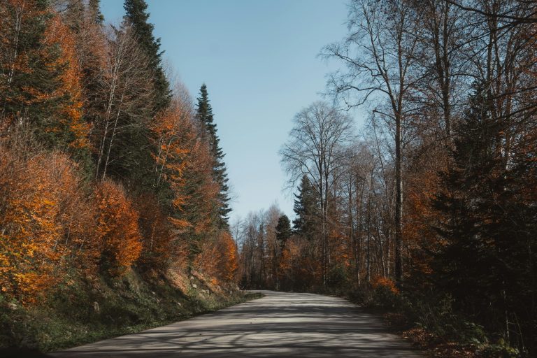 From bustling markets to quiet temples: a journey through Asia