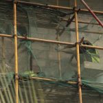 The Secret to Building a Strong and Supportive Home Network