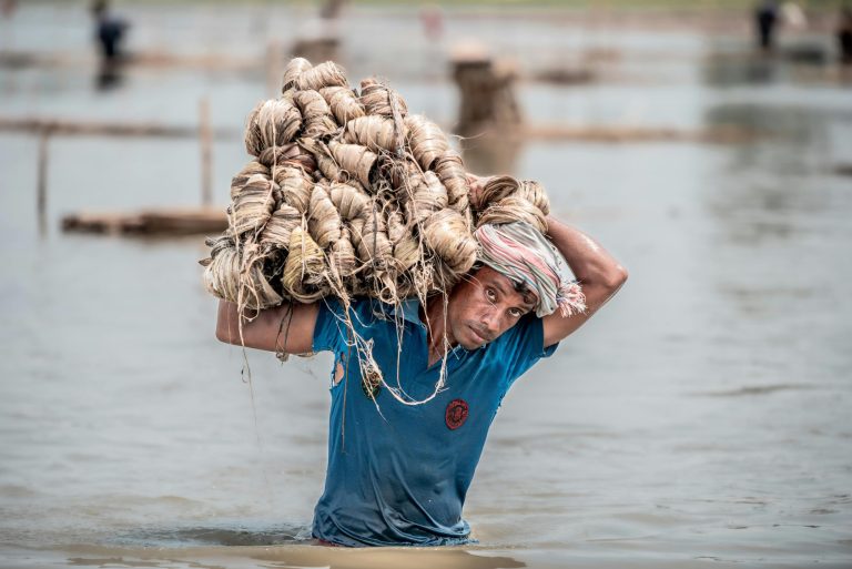 Learning and Development Opportunities for Employees