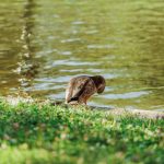 The quiet revolution of micro-credentials and lifelong upskilling