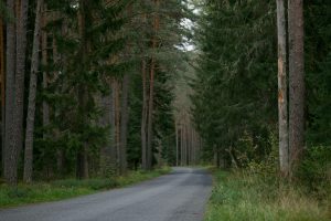 The quiet revolution of hydrogen fuel cells and their potential