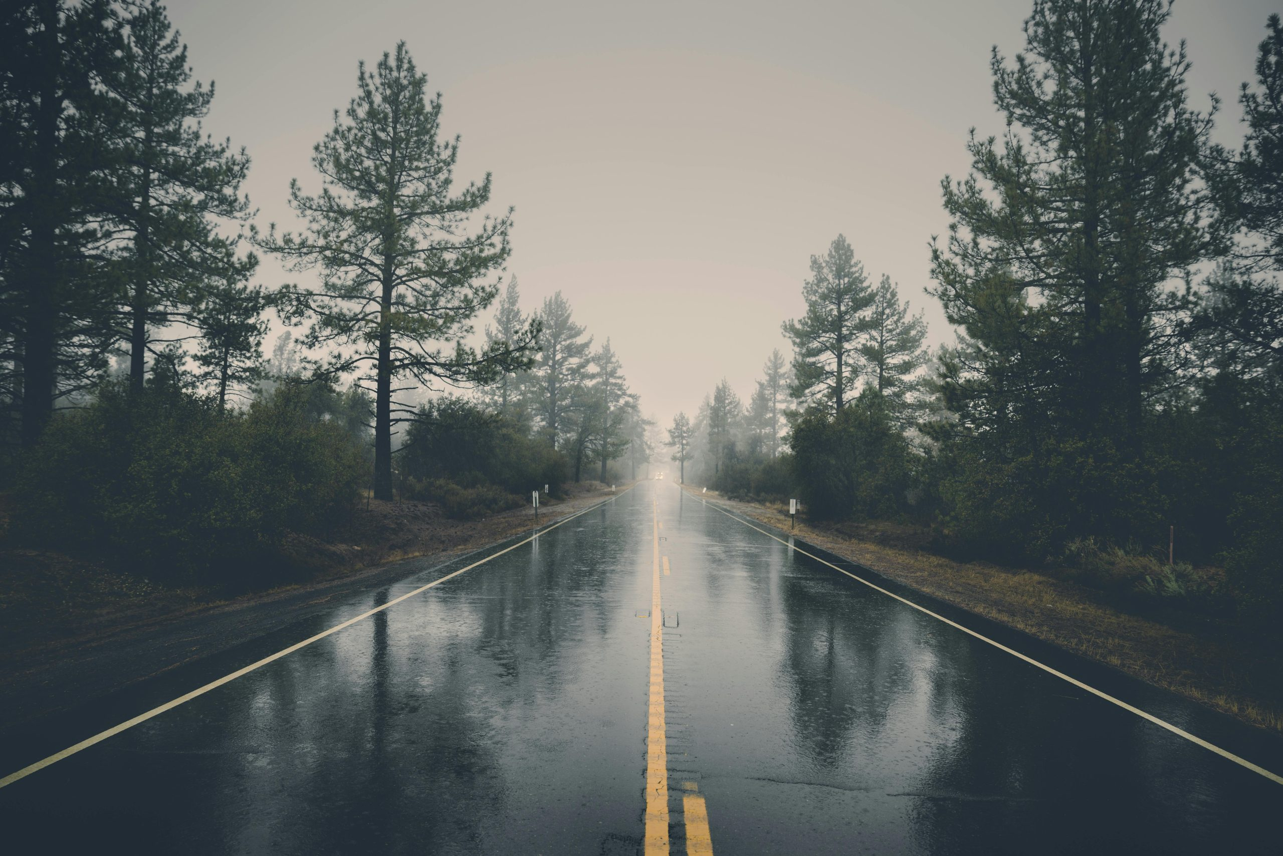 The ultimate guide to planning a perfect road trip adventure