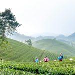 Innovation and Engagement in the Workplace