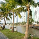 Navigating the complex world of software patents and intellectual property