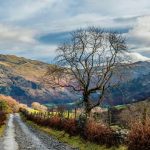 The enduring allure of solo travel for self-discovery and growth