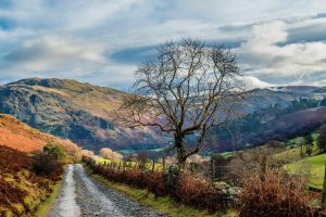 The enduring allure of solo travel for self-discovery and growth
