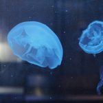 The surprising science behind how our brains actually learn new things