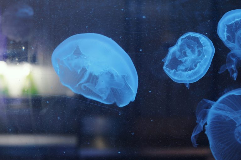 The surprising science behind how our brains actually learn new things