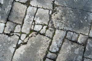 The seismic shift: rethinking traditional grading and assessment methods