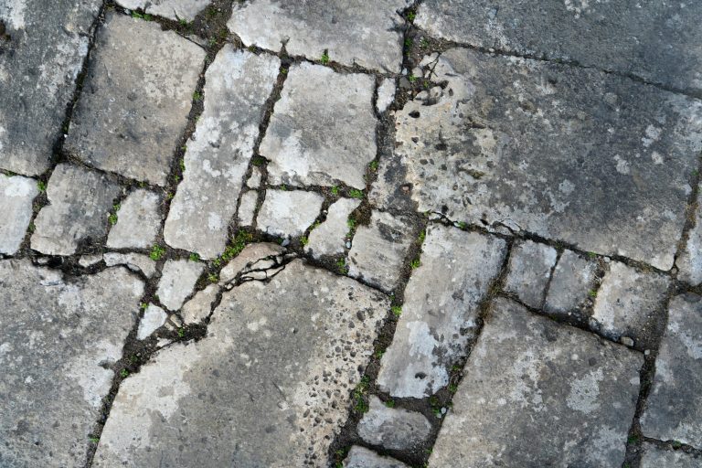 The seismic shift: rethinking traditional grading and assessment methods