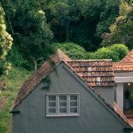 How to Create a Sustainable and Ethical Home